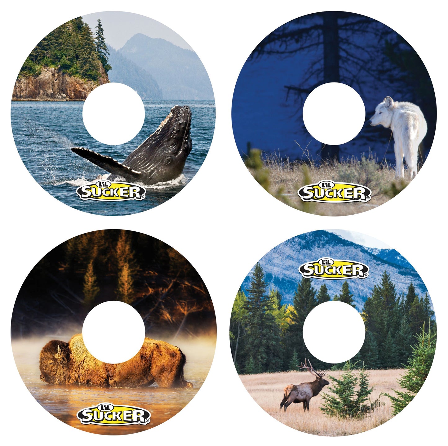 Wildlife 4 Pack